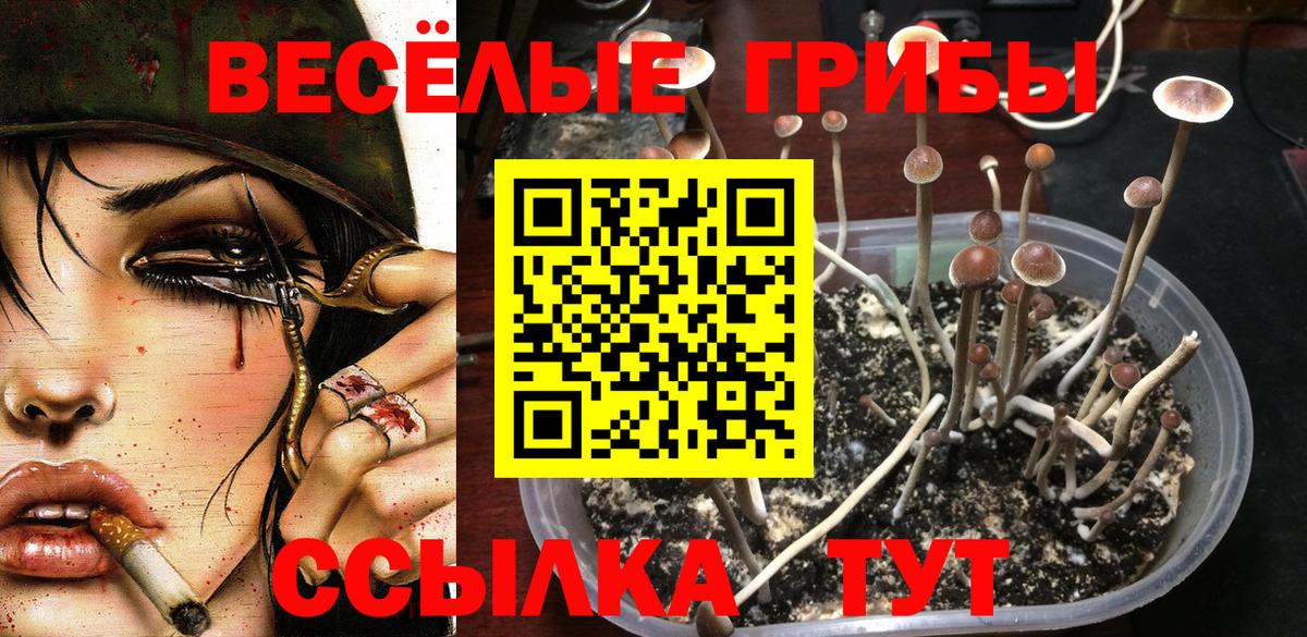 Междуреченск  Галлюциногенные грибы MAGIC MUSHROOMS  Вход с VPN 