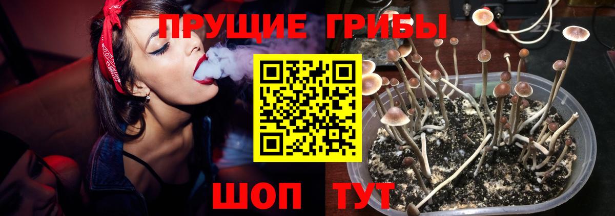 Галлюциногенные грибы прущие грибы Междуреченск